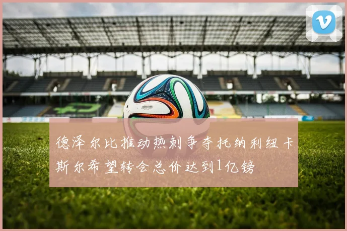 德泽尔比推动热刺争夺托纳利纽卡斯尔希望转会总价达到1亿镑
